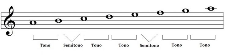 estructura de la escala mayor