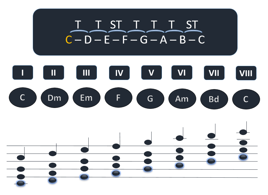 estructura de la escala armonizada